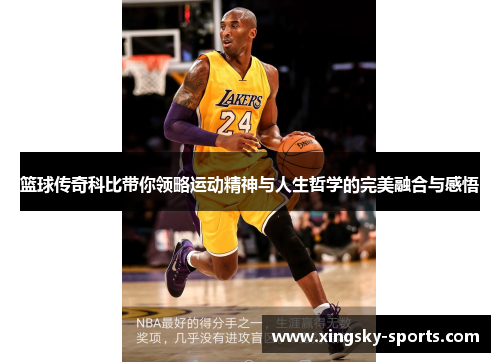 篮球传奇科比带你领略运动精神与人生哲学的完美融合与感悟